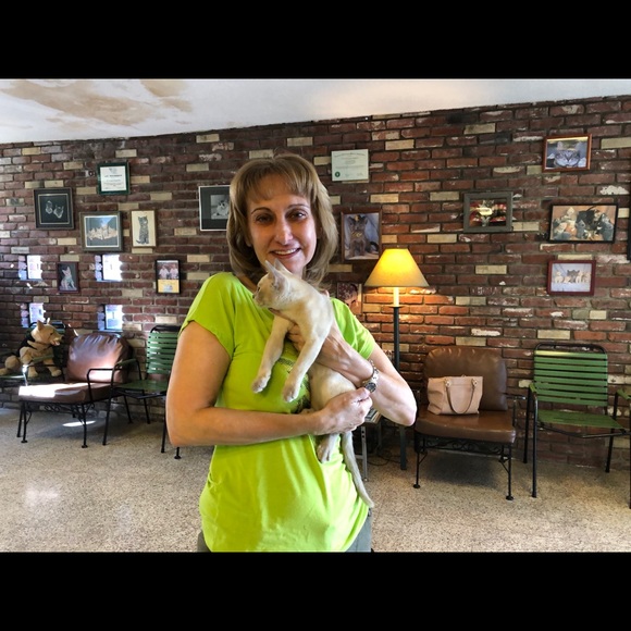 Meet your Posher, Rosaly - Picture 1 of 1